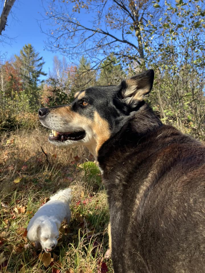 It Stix Signs & Graphics Inc.