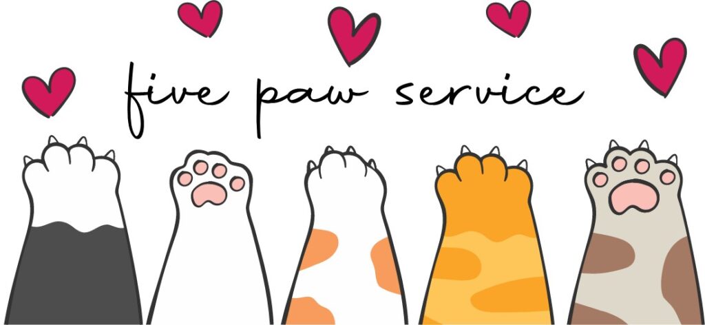 Creature Comforts Pet Care and Home Sitting five paw service